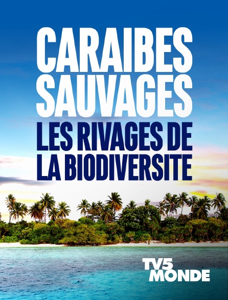 TV5MONDE - Caraïbes sauvages, les rivages de la biodiversité