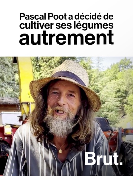 Brut - Pascal Poot a décidé de cultiver ses légumes autrement