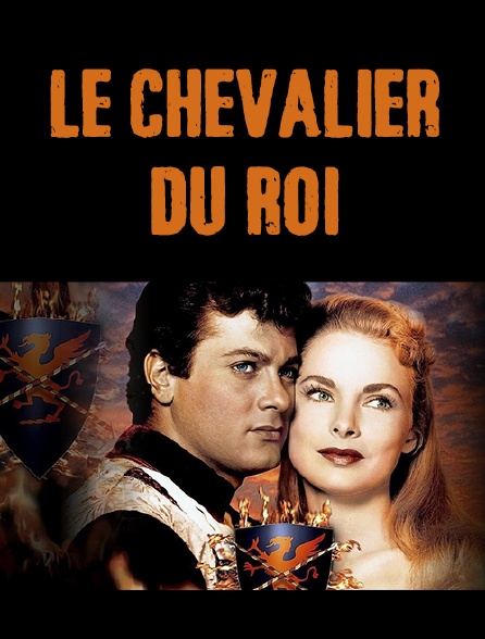 Le chevalier du roi