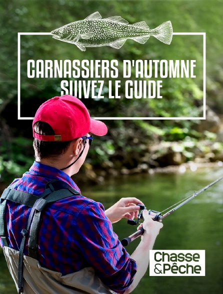 Chasse et pêche - Carnassiers d'automne, suivez le guide