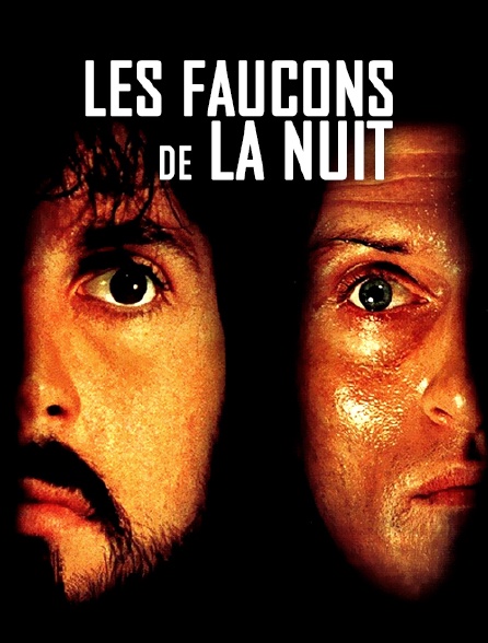 Les faucons de la nuit