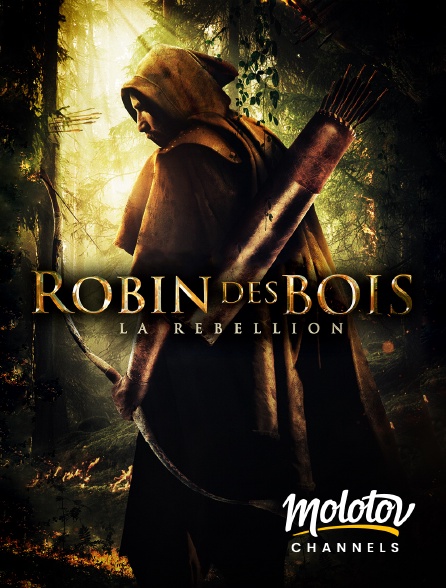 Molotov channels - Robin des bois : la rébellion