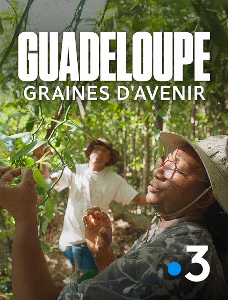 France 3 - Guadeloupe : graines d'avenir