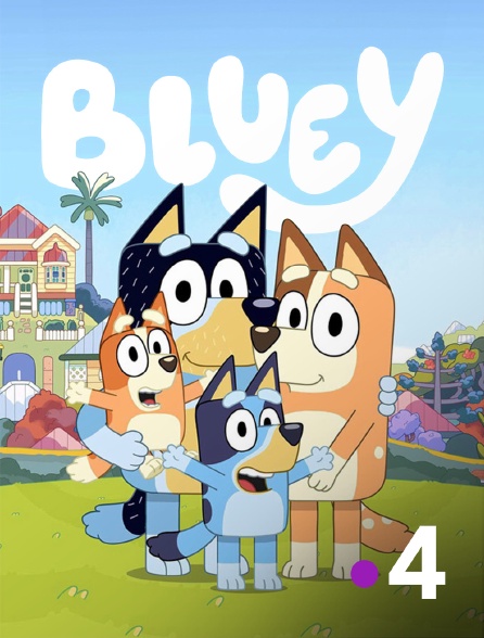 France 4 - Bluey - S01E49