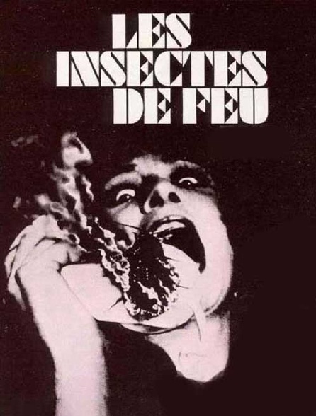 Les Insectes De Feu