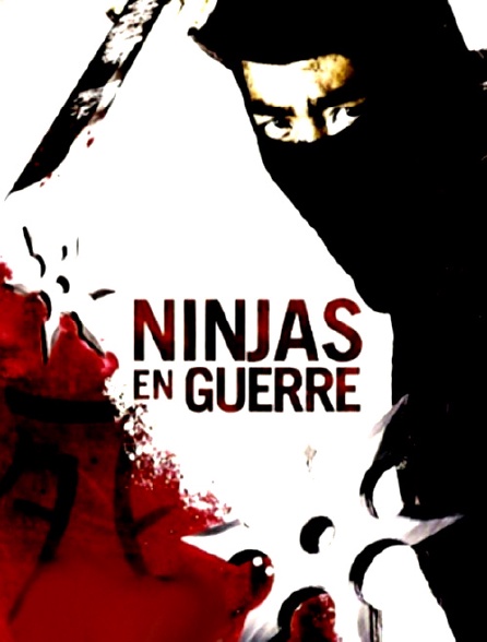 Ninjas en guerre