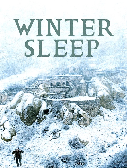 Winter sleep