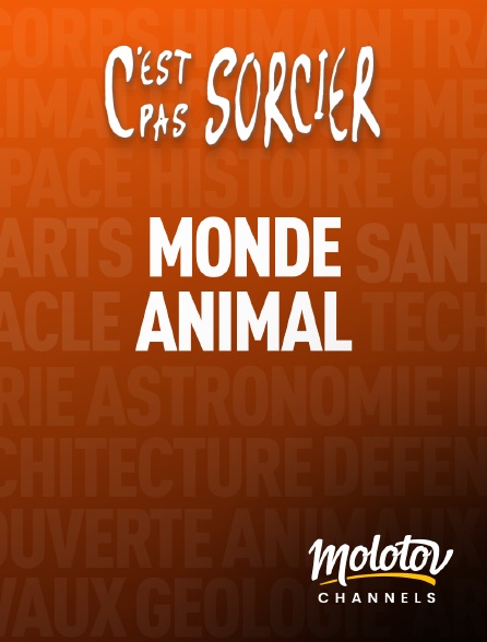 Molotov channels - C'est pas sorcier : Monde animal - S01E01