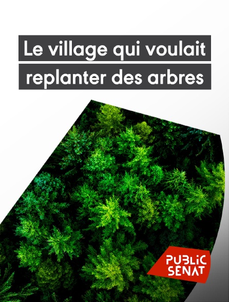 Public Sénat - Le village qui voulait replanter des arbres