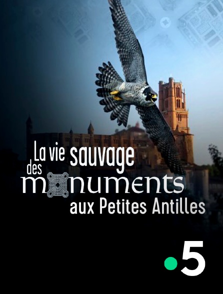 France 5 - La vie sauvage des monuments aux Petites Antilles