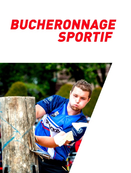 Bucheronnage sportif - 31/12/2023 à 15h45