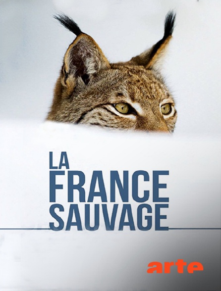 Arte - La France sauvage - 30/09/2024 à 15h45