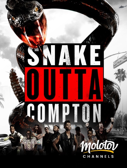 Molotov channels - Snake outta compton