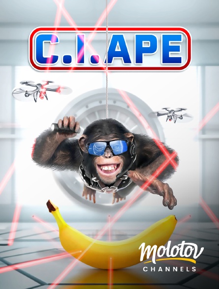 Molotov channels - C.I.Ape