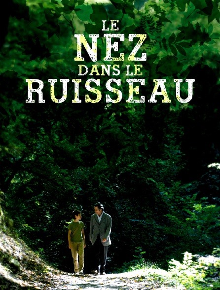 Le nez dans le ruisseau