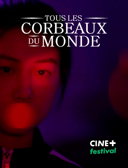 CINE+ Festival - Tous les corbeaux du monde