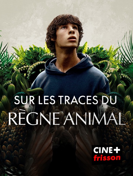 CINE+ Frisson - Sur les traces du règne animal