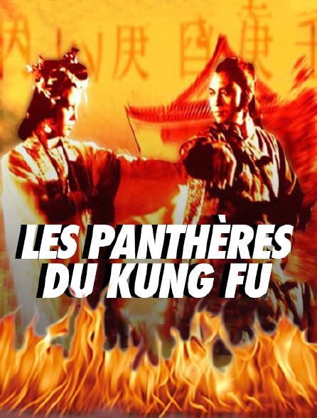 Les panthères du kung-fu - 23/08/2024 à 19h47