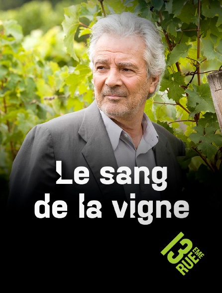 13EME RUE - Le sang de la vigne - S01E13