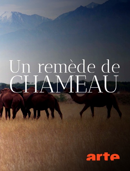 Arte - Un remède de chameau : La révolution des nanocorps