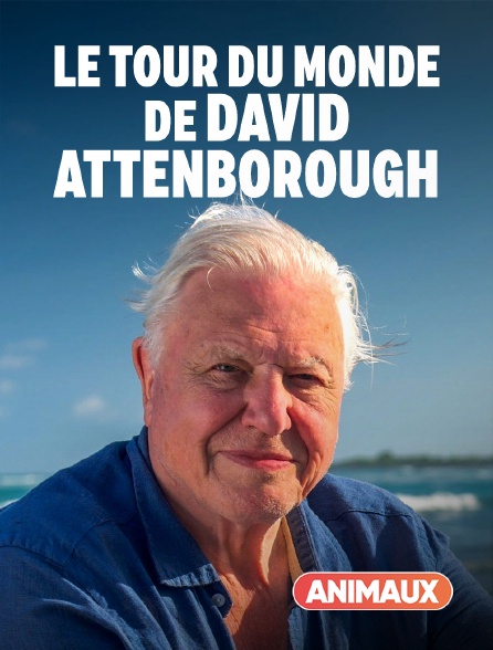 Animaux - Le tour du monde de David Attenborough - 17/09/2024 à 18h00