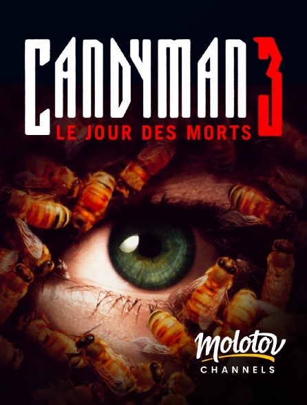 Molotov channels - Candyman 3 : Le Jour des morts