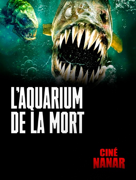 Ciné Nanar - Aquarium de la Mort