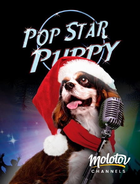 Molotov channels - Pop Star Puppy