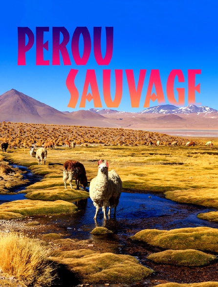 Destination Wild : Pérou sauvage