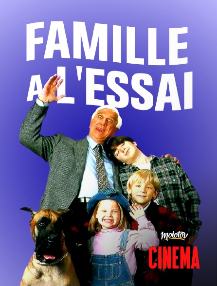 Molotov Channels Cinéma - Famille à l'essai