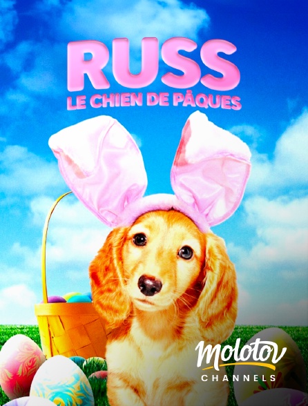 Molotov channels - Russ, le chien de Pâques