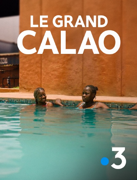 France 3 - Le grand calao