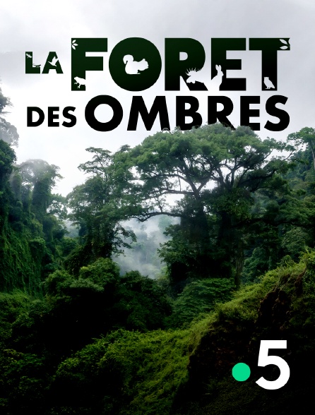 France 5 - La forêt des ombres