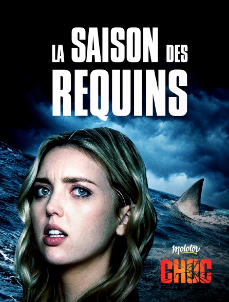 Molotov Channels CHOC - La saison des Requins