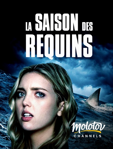 Molotov channels - La saison des Requins