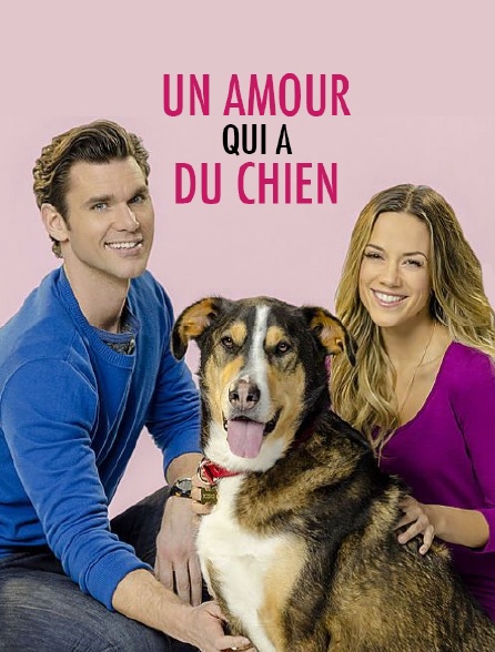 Un amour qui a du chien