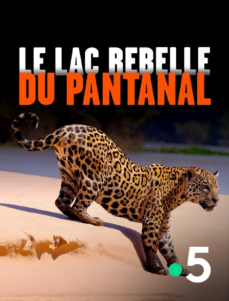 France 5 - Le lac rebelle du Pantanal