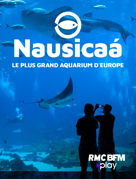 RMC BFM Play - Nausicaa, le plus grand aquarium d'Europe