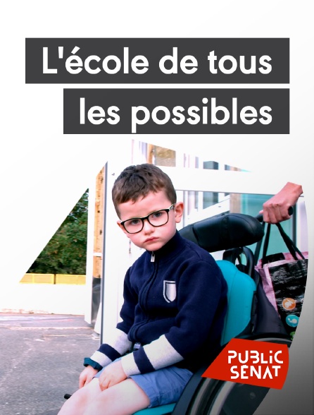 Public Sénat - L'école de tous les possibles