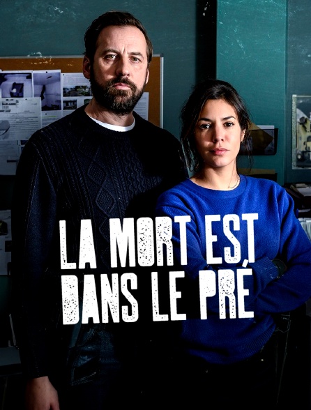 La mort est dans le pré - 21/06/2024 à 21h05