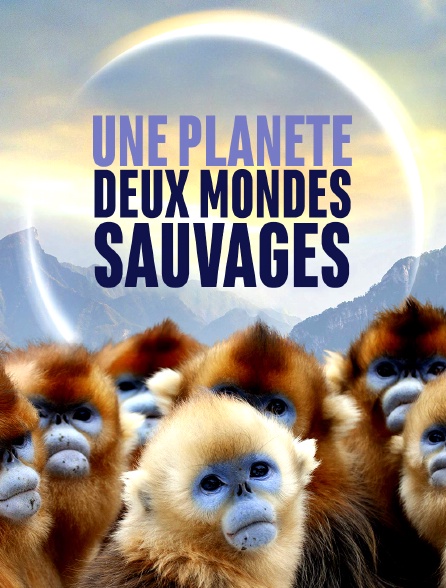 Une planète, sept mondes sauvages