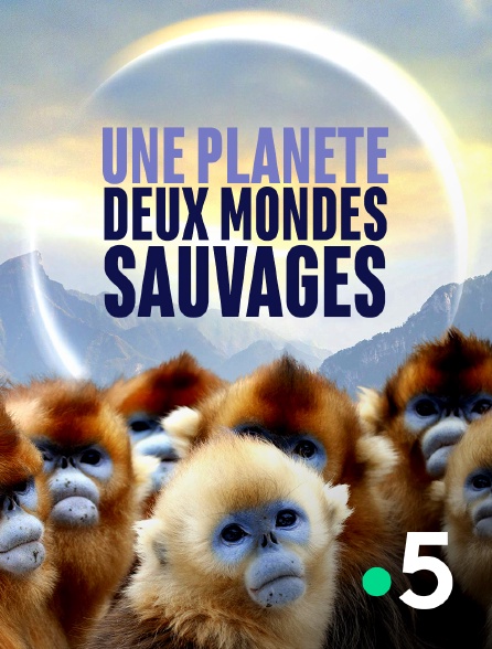 France 5 - Une planète, sept mondes sauvages - 21/05/2024 à 16h31