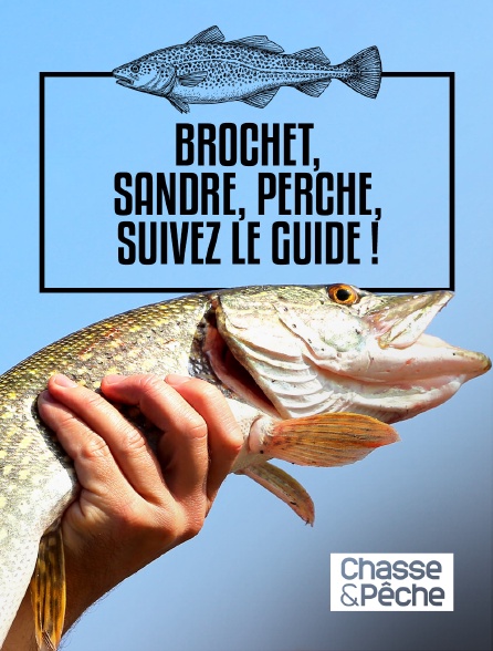 Chasse et pêche - Brochet, sandre, perche, suivez le guide !