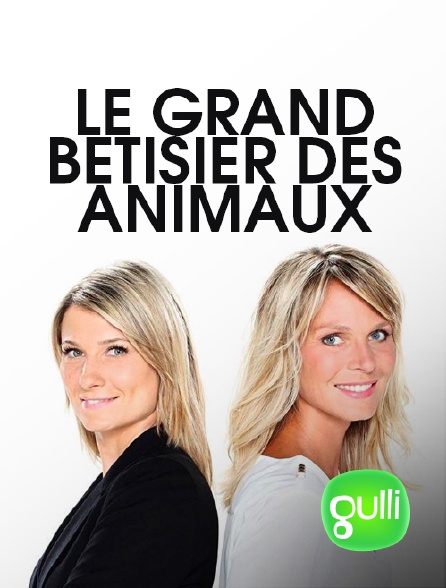 Gulli - Le grand bêtisier des animaux - 19/09/2024 à 21h05