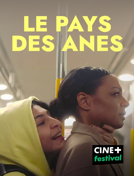 CINE+ Festival - Le pays des ânes