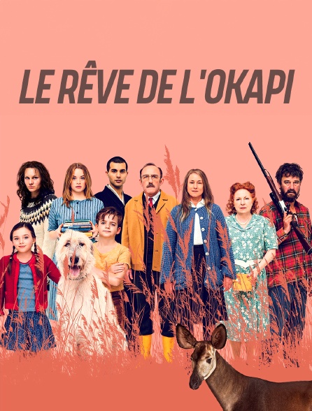 Le rêve de l'okapi