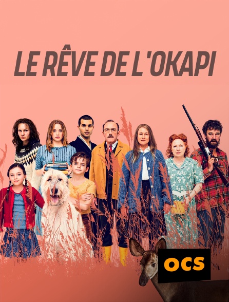 OCS - Le rêve de l'okapi