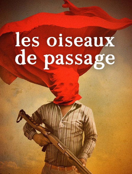 Les oiseaux de passage