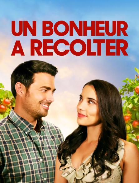 Un bonheur à récolter