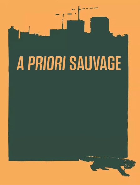 A priori sauvage